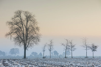 BUITEN BEELD Foto: 307168