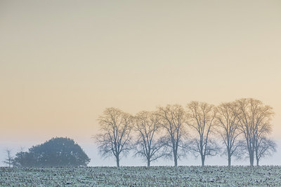 BUITEN BEELD Foto: 307169