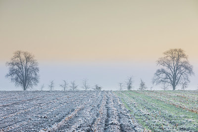 BUITEN BEELD Foto: 307170