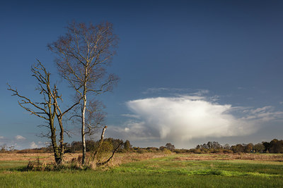 BUITEN BEELD Foto: 307175