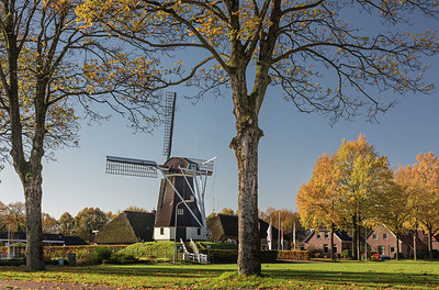 BUITEN BEELD Foto: 307176