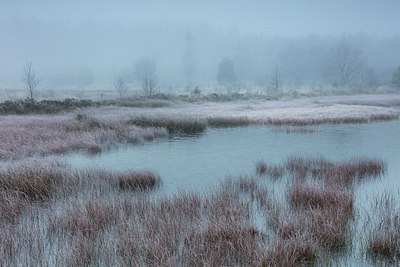 BUITEN BEELD Foto: 307261
