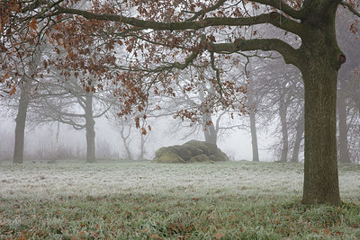BUITEN BEELD Foto: 307268