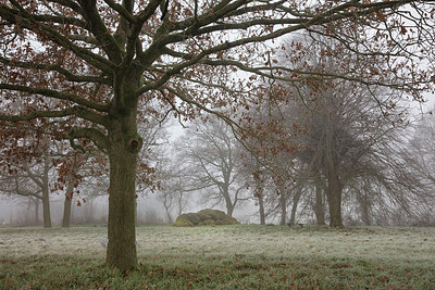 BUITEN BEELD Foto: 307269
