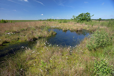 BUITEN BEELD Foto: 307319