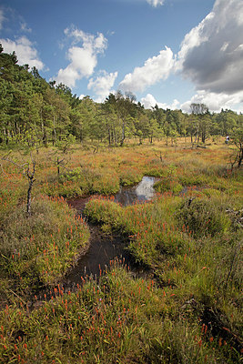 BUITEN BEELD Foto: 307322