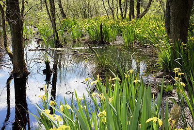 BUITEN BEELD Foto: 307357