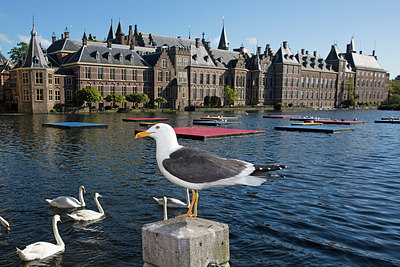 BUITEN BEELD Foto: 307432