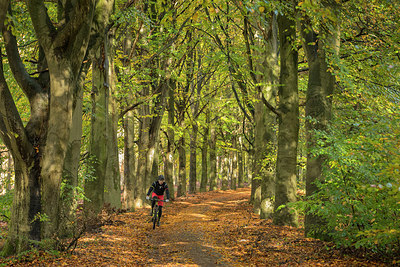 BUITEN BEELD Foto: 307522