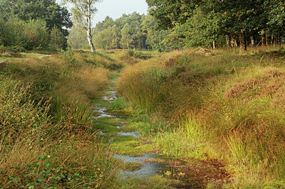 BUITEN BEELD Foto: 307561