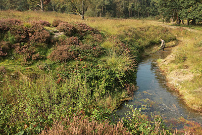 BUITEN BEELD Foto: 307562