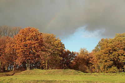 BUITEN BEELD Foto: 307579
