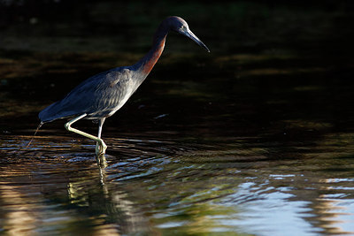 BUITEN BEELD Foto: 307603