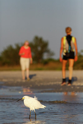 BUITEN BEELD Foto: 307606