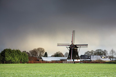 BUITEN BEELD Foto: 307676
