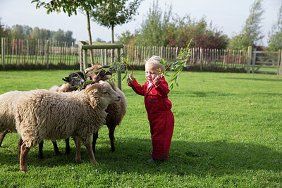 BUITEN BEELD Foto: 307727
