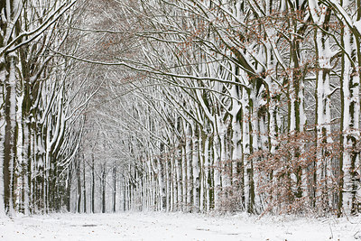 BUITEN BEELD Foto: 307779