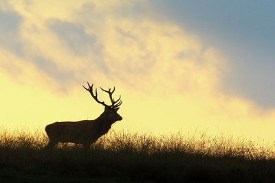 BUITEN BEELD Foto: 307861