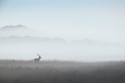 BUITEN BEELD Foto: 307865