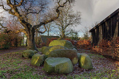 BUITEN BEELD Foto: 307932