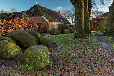 BUITEN BEELD Foto: 307935