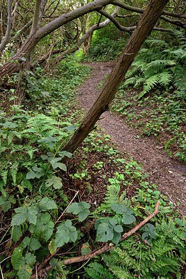 BUITEN BEELD Foto: 308006