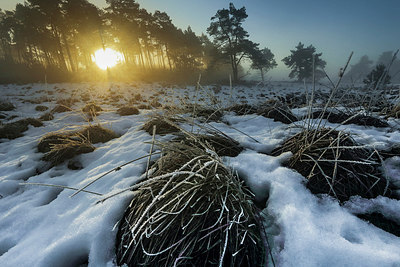 BUITEN BEELD Foto: 308016