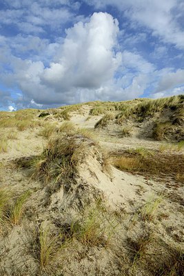 BUITEN BEELD Foto: 308028