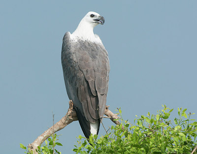 BUITEN BEELD Foto: 308046