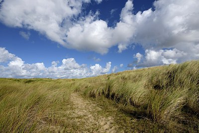BUITEN BEELD Foto: 308069