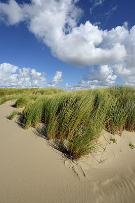 BUITEN BEELD Foto: 308070