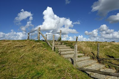 BUITEN BEELD Foto: 308077