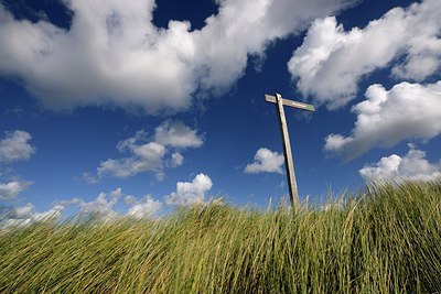 BUITEN BEELD Foto: 308078