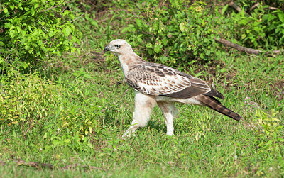 BUITEN BEELD Foto: 308090