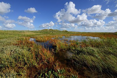 BUITEN BEELD Foto: 308105