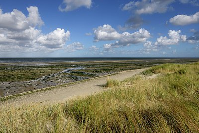 BUITEN BEELD Foto: 308113