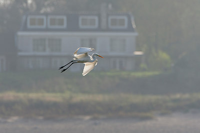 BUITEN BEELD Foto: 308145