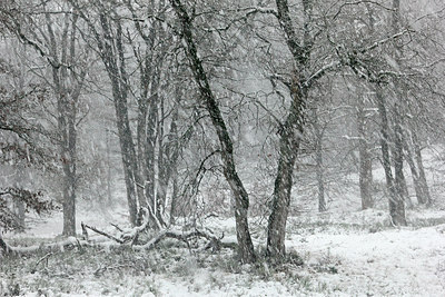 BUITEN BEELD Foto: 308178
