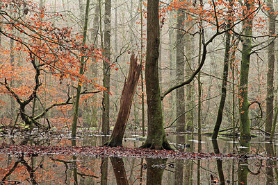 BUITEN BEELD Foto: 308183