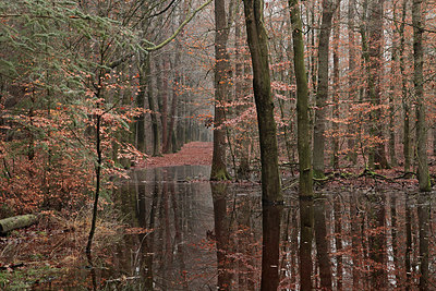 BUITEN BEELD Foto: 308185
