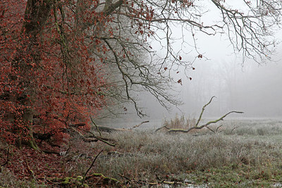 BUITEN BEELD Foto: 308191