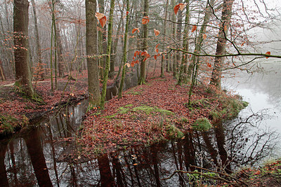 BUITEN BEELD Foto: 308192