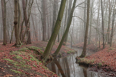 BUITEN BEELD Foto: 308193