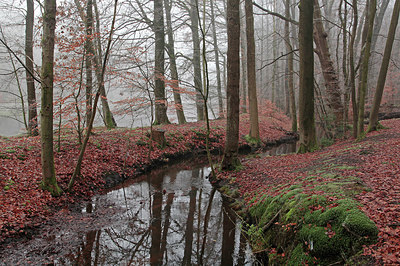 BUITEN BEELD Foto: 308194
