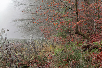 BUITEN BEELD Foto: 308195
