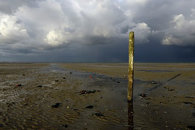 BUITEN BEELD Foto: 308321