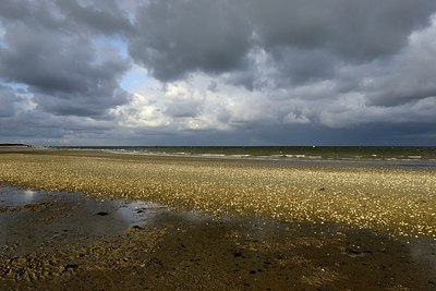 BUITEN BEELD Foto: 308326