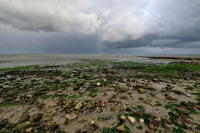BUITEN BEELD Foto: 308334