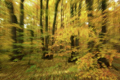 BUITEN BEELD Foto: 308358