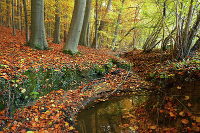 BUITEN BEELD Foto: 308389